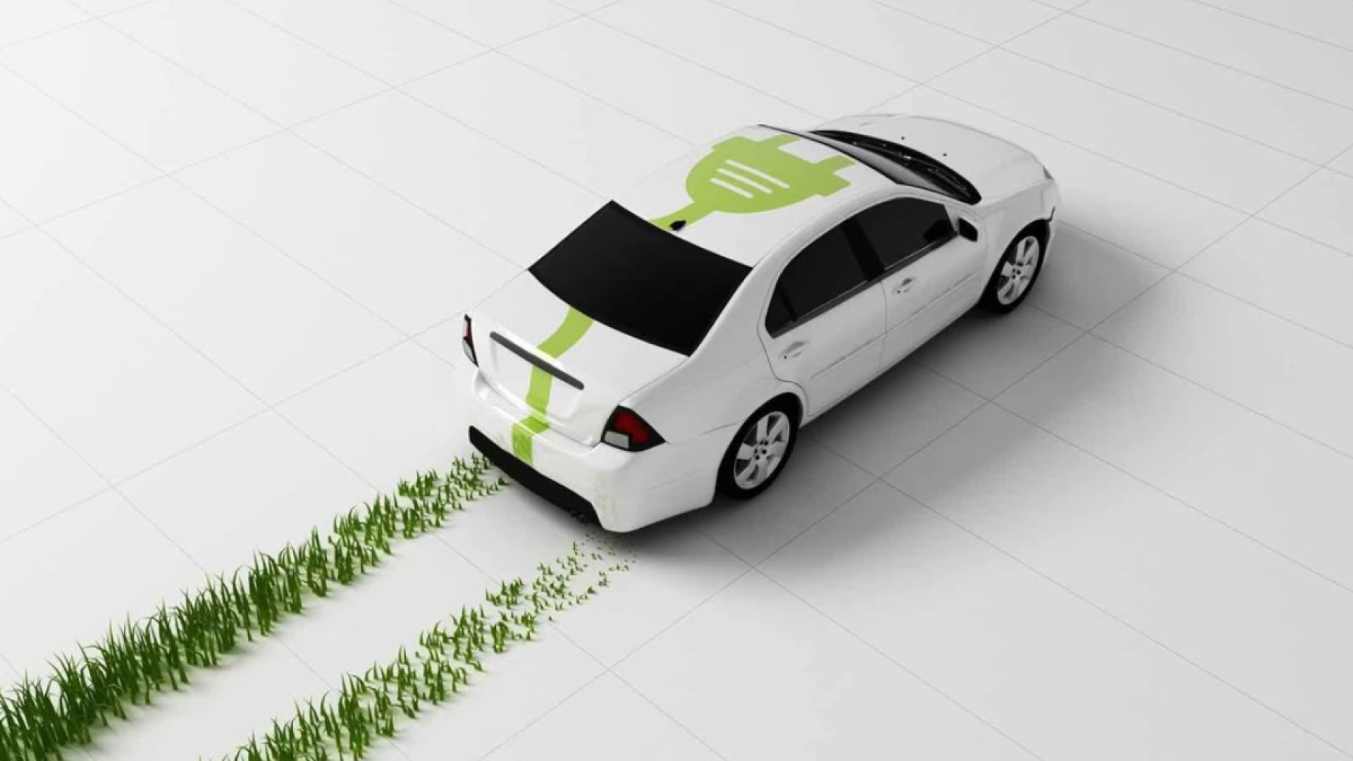 Eco-Friendly Options